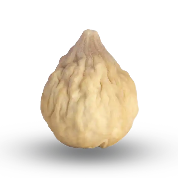 an14 1
